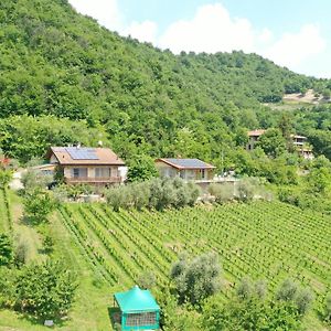 산 파올로 다르곤 Agriturismo Ca Del Manenti 빌라 Exterior photo