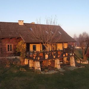 Ferienhaus In Cisowa Mit Offener Terrasse 빌라 Exterior photo