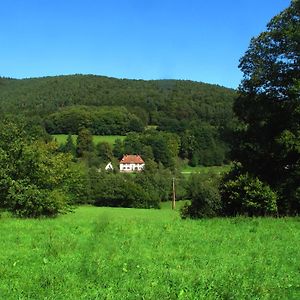 Bobenthal Haus Am Knopf 아파트 Exterior photo