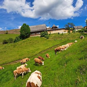 Sankt Stefan ob Leoben Bio-Peisingerhof 아파트 Exterior photo