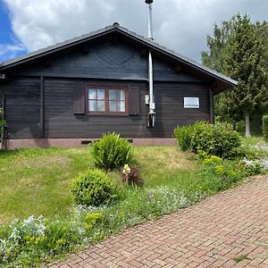 Bromskirchen Blockhaus Ferienzauber II 빌라 Exterior photo