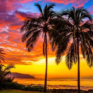 Charming Beach Apartment Your Hawaiian Getaway 할레이와 Exterior photo