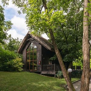 Tree House Relax Park 호텔 키시나우 Exterior photo