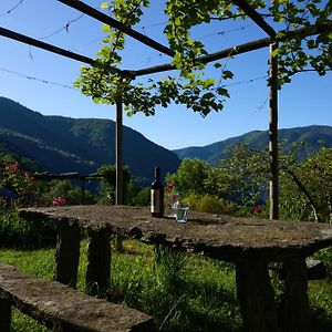 Auressio Wild Valley Garden Paradise In Valle Onsernone 아파트 Exterior photo