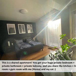 Funkadelic Retreat Transylvania, Private Room&Bath In Shared Apartment With Host&Cat 클루지나포카 Exterior photo