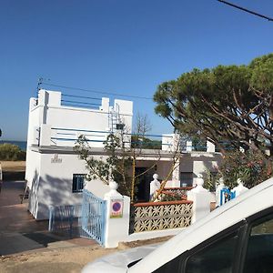 마자곤 Casa La Gaviota Con Acceso Privado A La Playa 빌라 Exterior photo