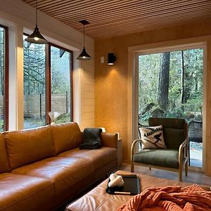 Skykomish Cozy Nordic Style Cabin With Cedar Barrel Hot Tub 빌라 Exterior photo
