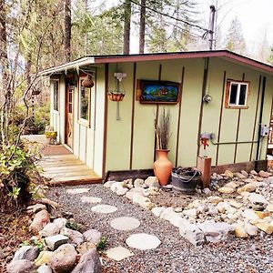 애쉬포드 Mt Rainier Little Green Cabin On Big Creek! 빌라 Exterior photo