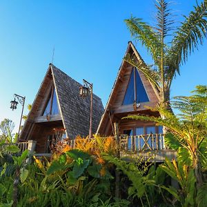 Gitgit The A-Frame House 게스트하우스 Exterior photo