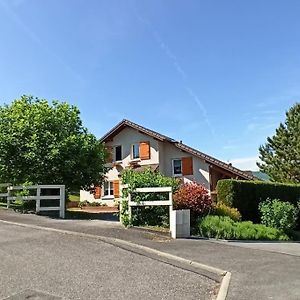 Maison Complete Entre Annecy Et Aix-Les-Bains 루밀리 Exterior photo
