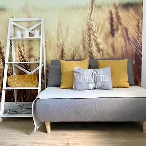 Welver Fewo Studio 'Ein Bett Im Kornfeld', Kueche, 30Qm, Souterrain 아파트 Exterior photo