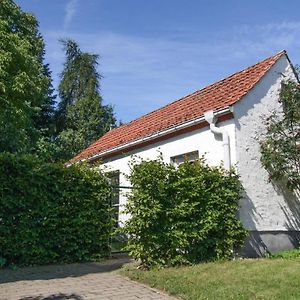 Ferienhaus Im Mueritz-Nationalpark In Mirow 빌라 Exterior photo