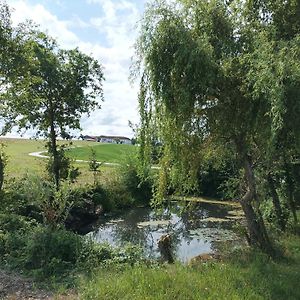 Pregarten Wohnen Im Gruenen 아파트 Exterior photo