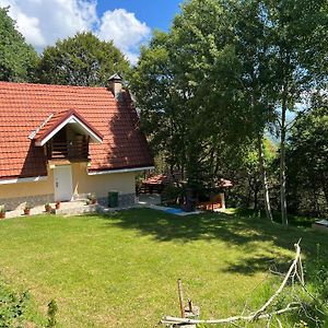 Kočani Mountain Vila In Ponikva 빌라 Exterior photo