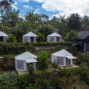 Alam Kita Glamping & Plantation 호텔 문덕 Exterior photo