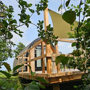 Tiny House De Skierroek 호텔 Westergeest Exterior photo