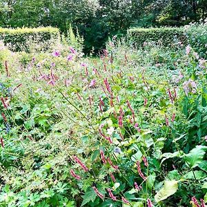 Boelenslaan Overnacht Met Uniek Uitzicht Op Tuin 아파트 Exterior photo