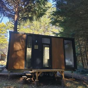 Noojee River Haven Tiny House By Tiny Away 빌라 Exterior photo