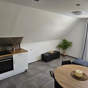 Dg Apartment Mit Neckarblick 뉘르팅엔 Exterior photo