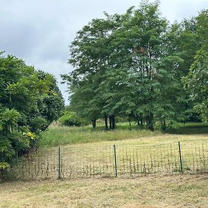 Sainte-Terre Domain De Montvert - 5 Min From Saint Emilion 빌라 Exterior photo