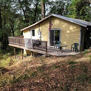 Miranda Cabin On Avenue Of The Giants 빌라 Exterior photo