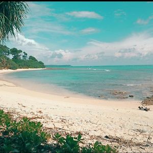 Mallick Palace Neil Island South Andaman 호텔 Ram Nagar Exterior photo