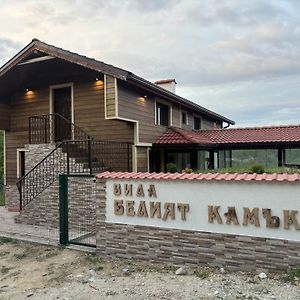 Вила Белият Камък - Златоград 빌라 Exterior photo