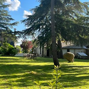 Saint-Saturnin-sur-Loire Maison De Charme 빌라 Exterior photo