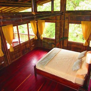 Platanillo Bamboo Jungle Cabin Walkable Distance From River 빌라 Exterior photo