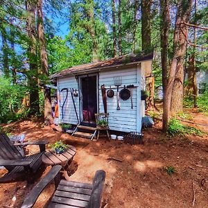 Glenfield The Stabbin Cabin On Grant Island, Brantingham Lake - Hottub, Boat, Pet Friendly 빌라 Exterior photo