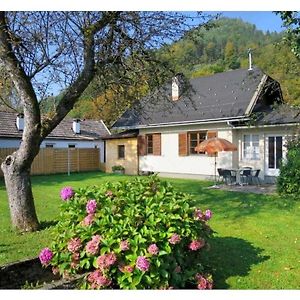 Haus Benedikt Comfortable Holiday Residence Sankt Ruprecht bei Villach Exterior photo