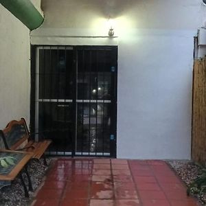 Hostal Pino Alto 호텔 엘 피나르 Exterior photo