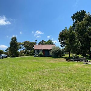 Cosy Cabin 호텔 Langwarrin Exterior photo