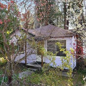 Abundant Gem Home Near Downtown Mount Shasta - Long Term Exterior photo