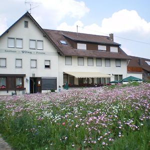 아이할덴 Gasthaus Pflug B&B Exterior photo