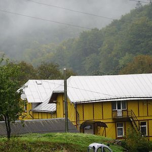 Дім З Видом На Гори. 호텔 Vizhenka Exterior photo