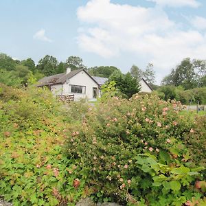 Torcastle Beech House 빌라 Exterior photo