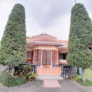 Villa Kodok 파수루안 Exterior photo