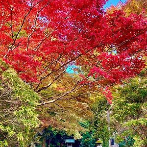 아시노유 竹の隠れ家：自然豊かな遊歩道ある完全貸切一軒家、静寂と利便性が交わる場所、芦ノ湖まで車で10分- 아파트 Exterior photo