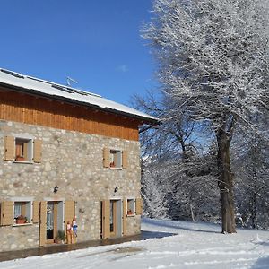 B&B Ai Marchetini Cinte Tesino Exterior photo