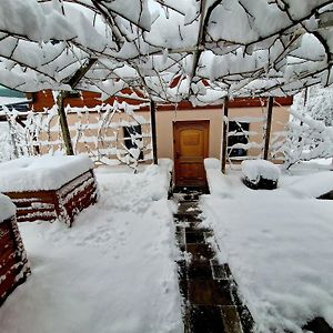 Vineyard Cottage Matej 트레브네 지방 자치제 Exterior photo