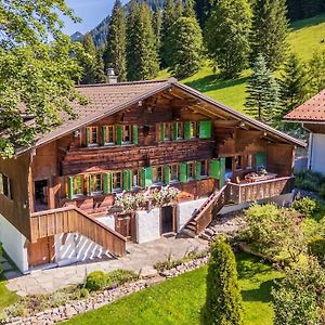 Chalet Ananda, Lauenen Bei Gstaad 빌라 Exterior photo