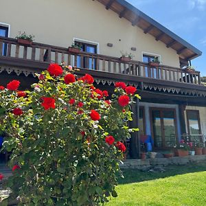 Desulo Is Cubas B&B Exterior photo