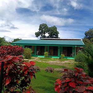 Macaw 호텔 Puerto Jiménez Exterior photo