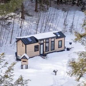 체스터 Thistle House At Camp Greenwood Vermont With Sauna 빌라 Exterior photo