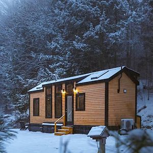 체스터 Sage House At Camp Greenwood Vermont With Sauna 빌라 Exterior photo