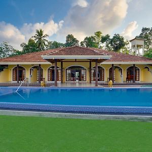 Treetop Spacious Resort Bentota With Pool 베루왈라 Exterior photo