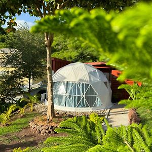 The Secret Garden - Glamping Grenada 호텔 Morne Rouge Exterior photo