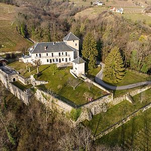 아프레몽 Chateau D'Apremont B&B Exterior photo