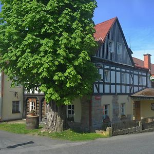 Hotel U Zeleneho Stromu - Zum Gruenen Baum 흐렌스코 Room photo